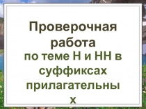 Проверочная работа  по теме Н и НН в суффиксах прилагательных