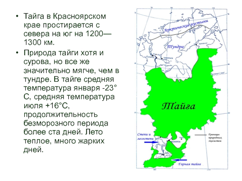 Температура января тайги в россии