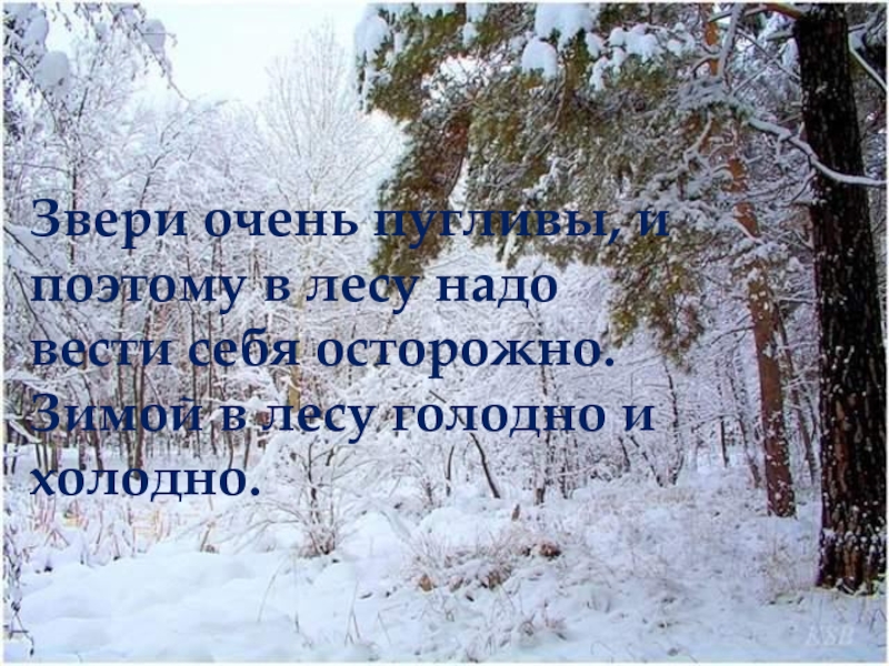 Холодно по зимнему по моему плану проходила поездка договорился по хорошему наречие прил или мест