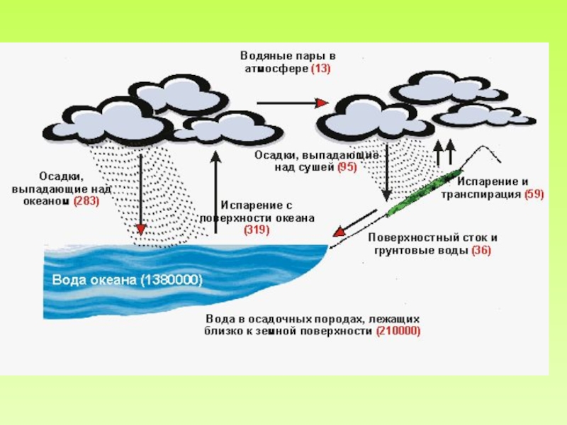 Презентация на тему круговорот веществ в природе 9 класс