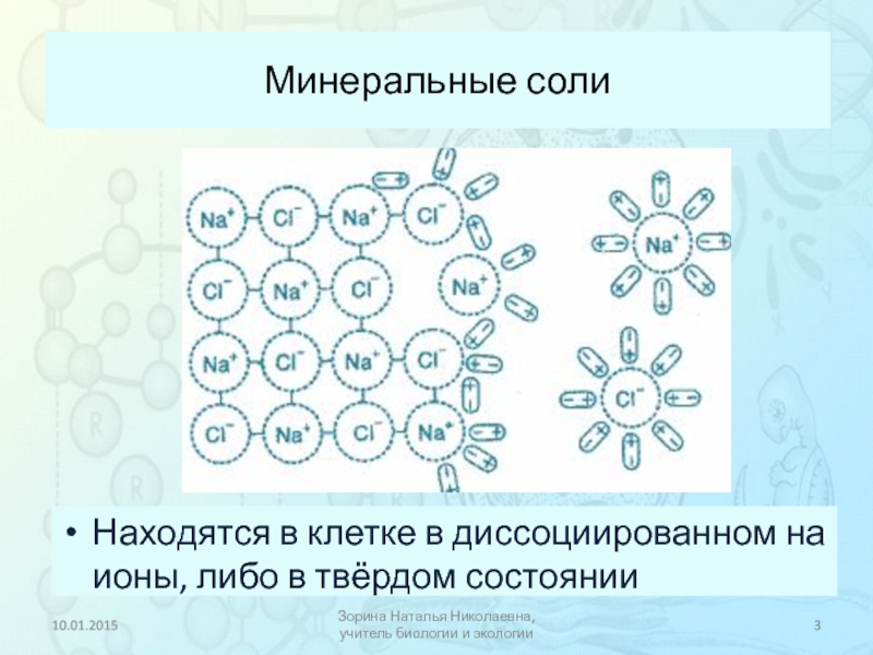 Неорганические вещества вода и минеральные соли. Ионы это в биологии. Неорганические ионы Минеральные соли.