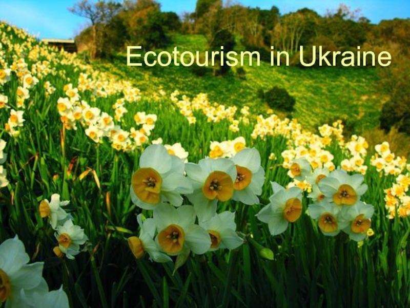 Ecotourism in Ukraine