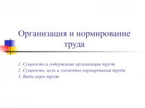 Организация и нормирование труда