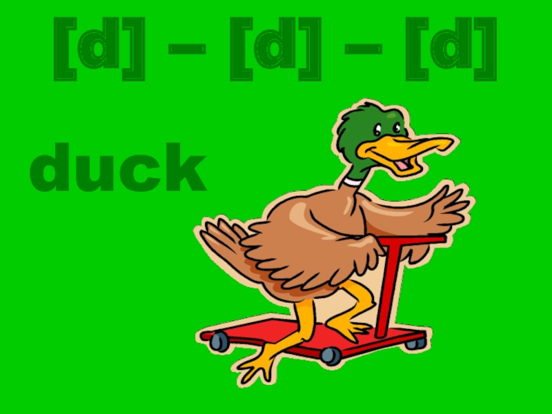 duck[d] – [d] – [d]
