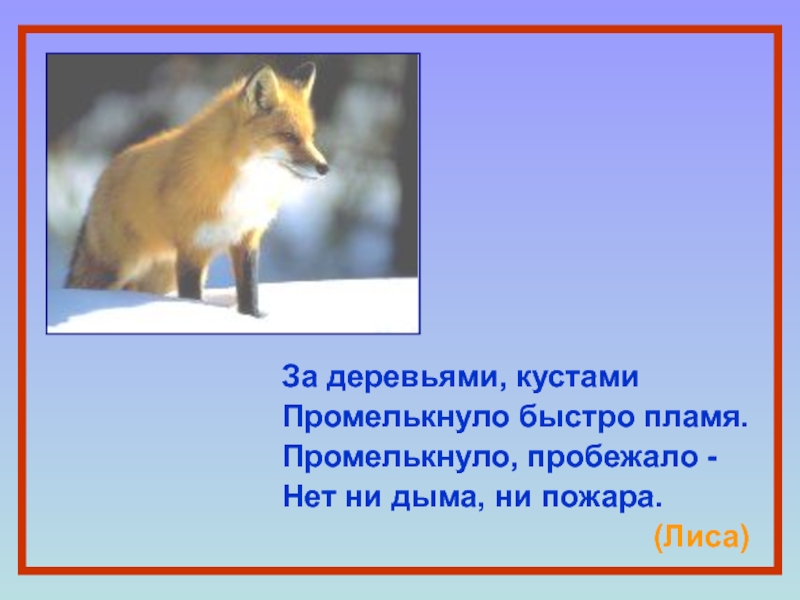 Загадка про лису для детей. Загадки про лису с ответами. Загадки про лису сложные. Загадка о лисе 4 класс. Загадки про лису 3 класс.