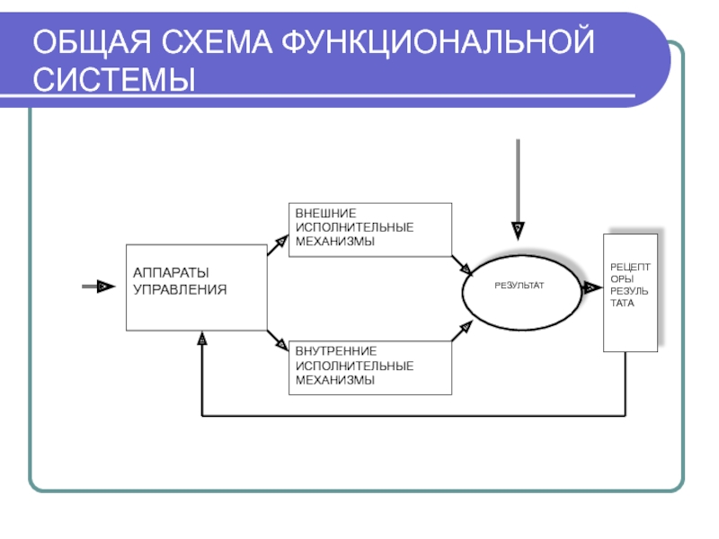 Функциональный механизм. Общая схема функциональной системы. Функциональная схема системы управления. Основные механизмы функциональной системы. Функциональная система приложения.