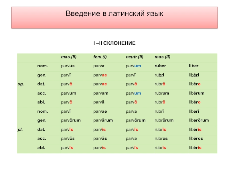 Латинский язык ответы