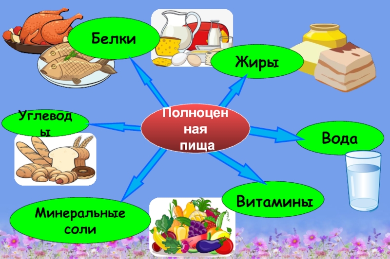 Здоровое питание – активное долголетие ВодаМинеральные солиУглеводыЖирыБелкиВитаминыПолноценная пища ВодаМинеральные солиУглеводыЖирыБелкиВитаминыПолноценная пища