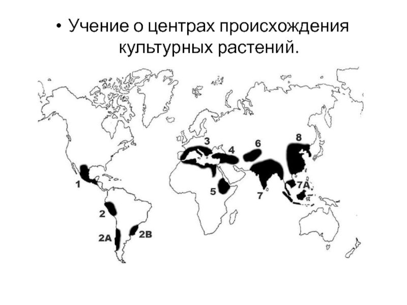 Центры происхождения культурных растений по вавилову карта