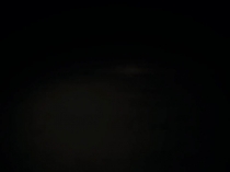 1 квартал 2019