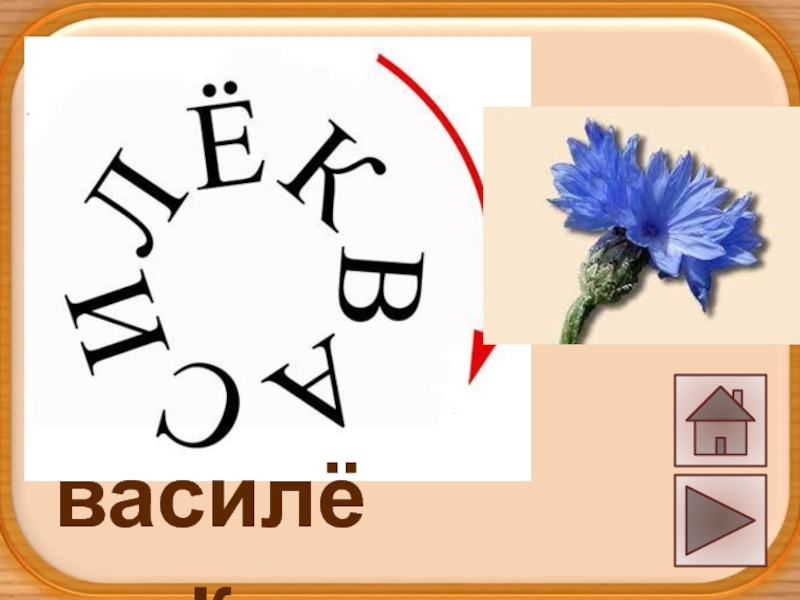 Схема слова васильки для 1 класса. Слово Василек красивым шрифтом. Слова на звук Василек. Схема слова Василек для 1 класса в цвете.