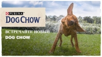ВСТРЕЧАЙТЕ НОВЫЙ
DOG CHOW