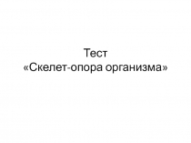 Тест по теме 