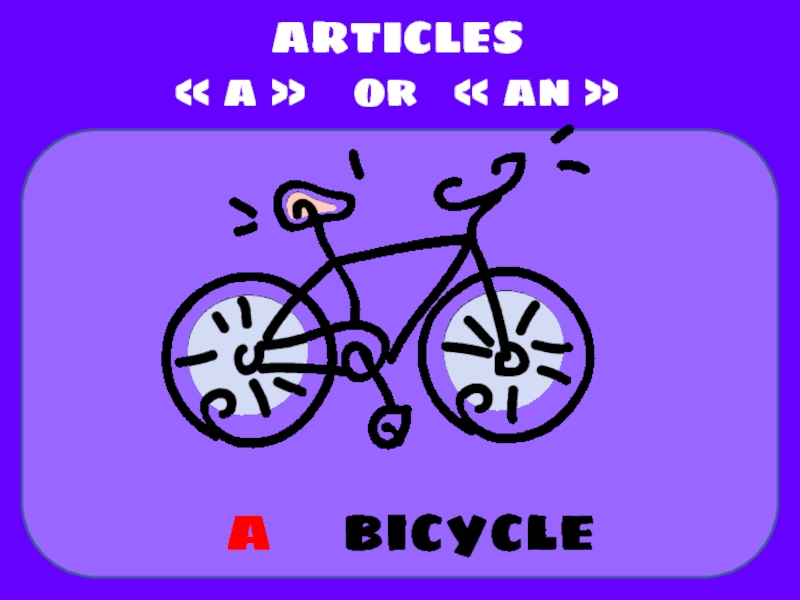 bicycle
ARTICLES
 a  or  an 
a