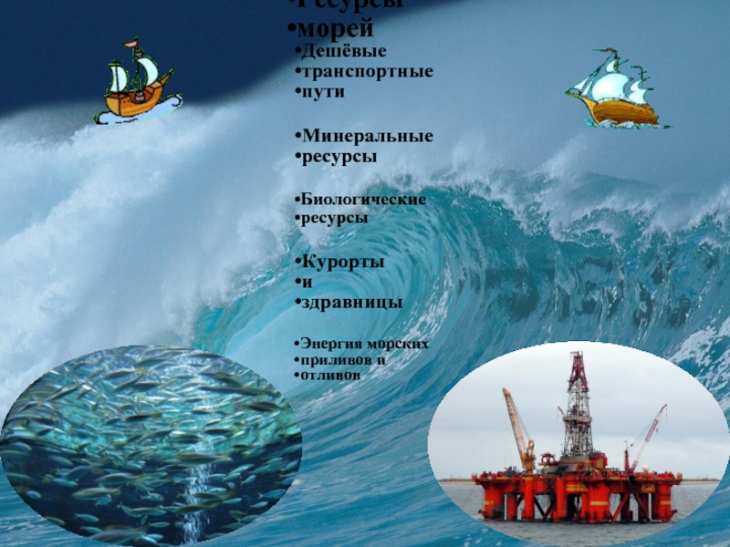 Какие моря берега россии