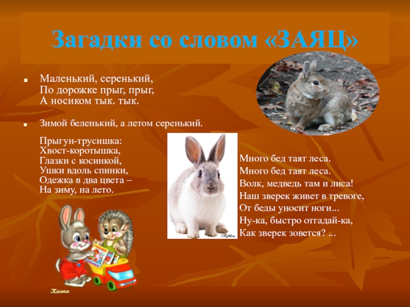 Слово заяц