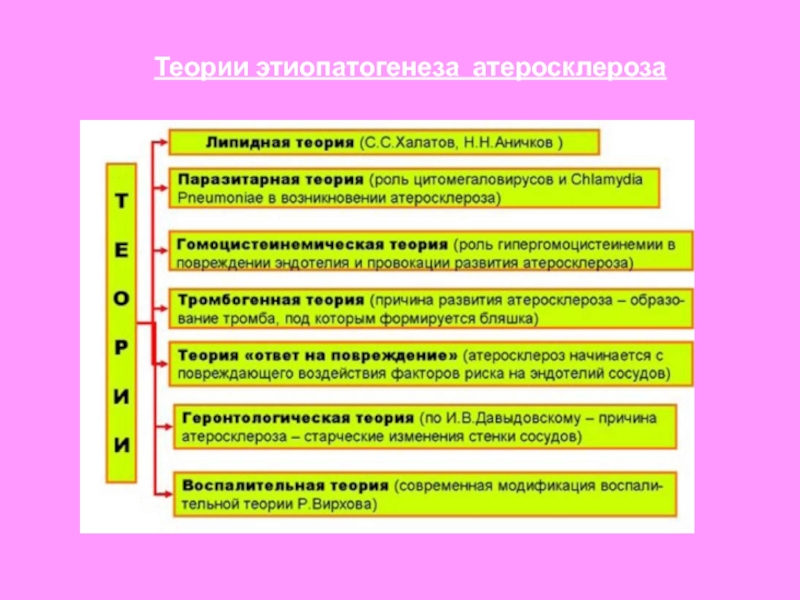 Теория 15. Атеросклероз теории происхождения. Теории возникновения атеросклероза. Теория Аничкова атеросклероз. Теории патогенеза возникновения атеросклероза.