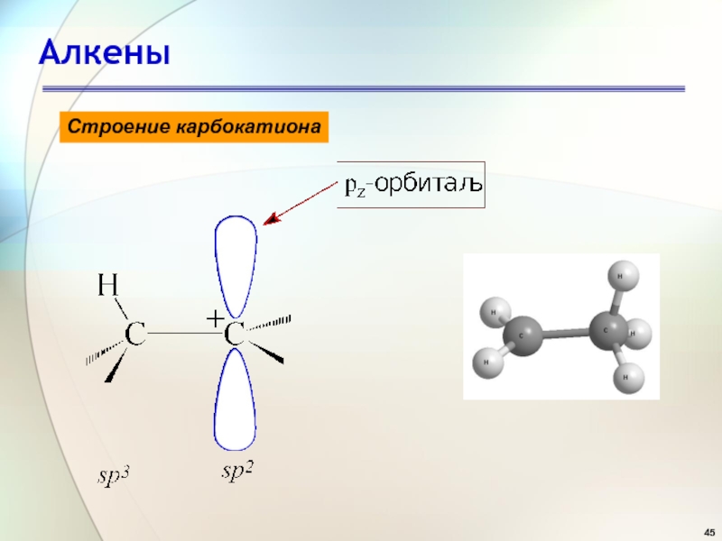 Алкены строение алкенов. Строение мезомерного карбокатиона. Строение делокализованного карбокатиона. Строение алкенов. Пространственное строение карбокатионов.