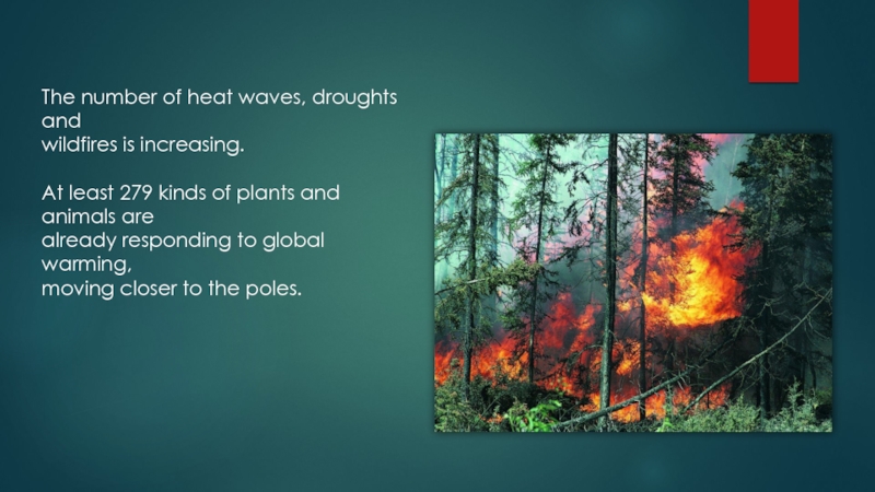 The number of heat waves, droughts and wildfires is increasing.At least 279 kinds of plants and animals