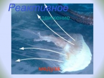 Реактивное движение медуза