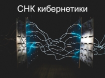 СНК кибернетики
