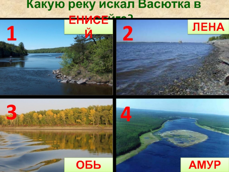 Реки амур обь кама вилюй урал камчатка. Что такое Лена Обь Амур. Енисей Лена и Амур. Енисей Лена Амур Обь что лишнее. Канал Амур Лена.