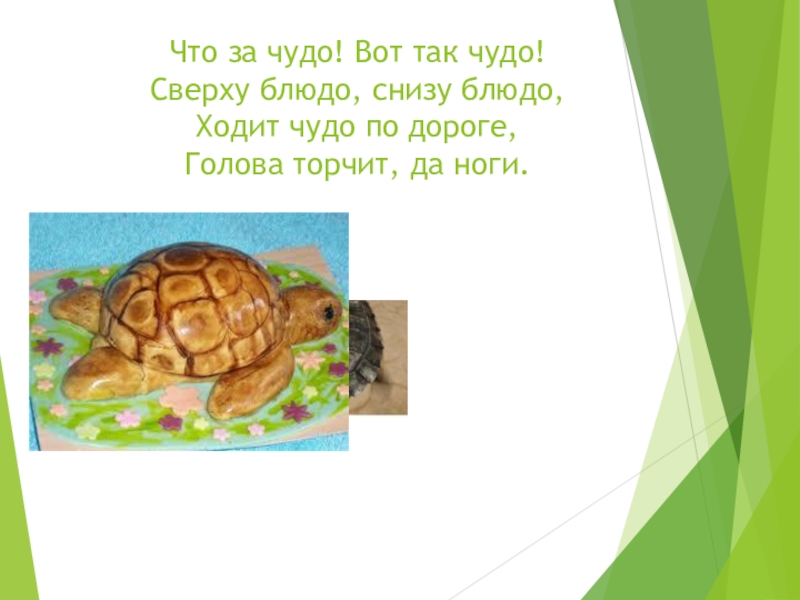 Что за чудо вот так чудо сверху блюдо. Что за чудо вот так чудо сверху блюдо снизу блюдо. Что за чудо вот так чудо сверху блюдо снизу блюдо ходит чудо по дороге.