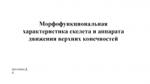 Морфофункциональная характеристика скелета и аппарата движения верхних