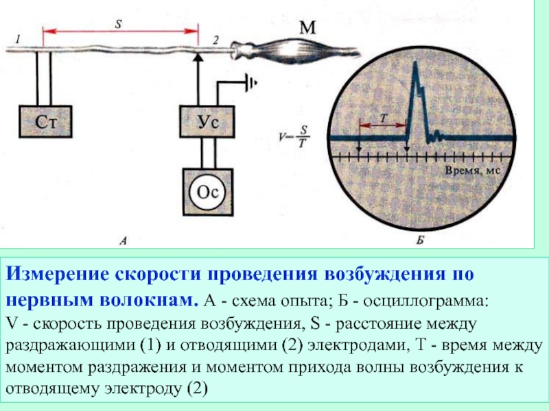 Схема опыта рейса