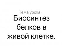 Биосинтез белков в живой клетке