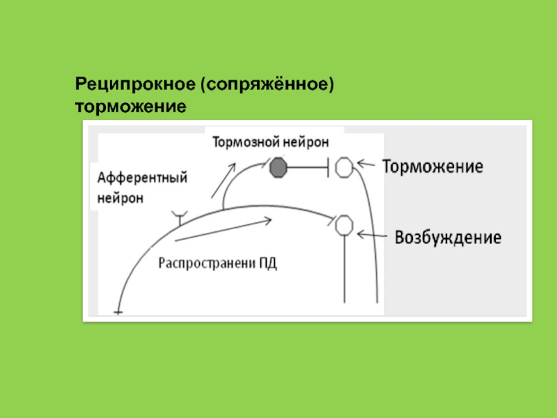 Схема торможения гольца