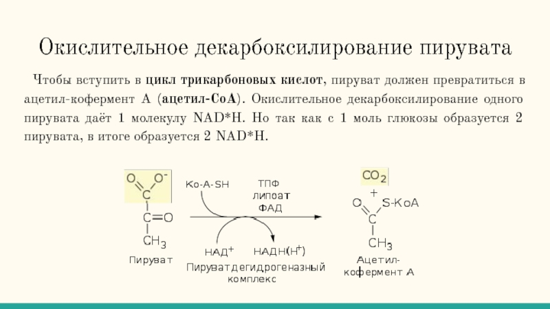 Схема окислительного декарбоксилирования