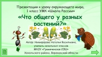 Что общего у разных растений?