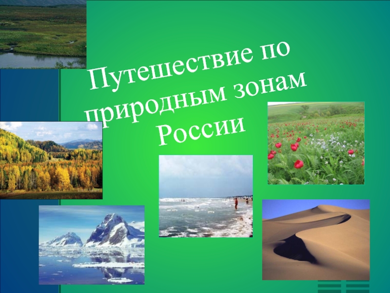 Путешествие по природным зонам Росии