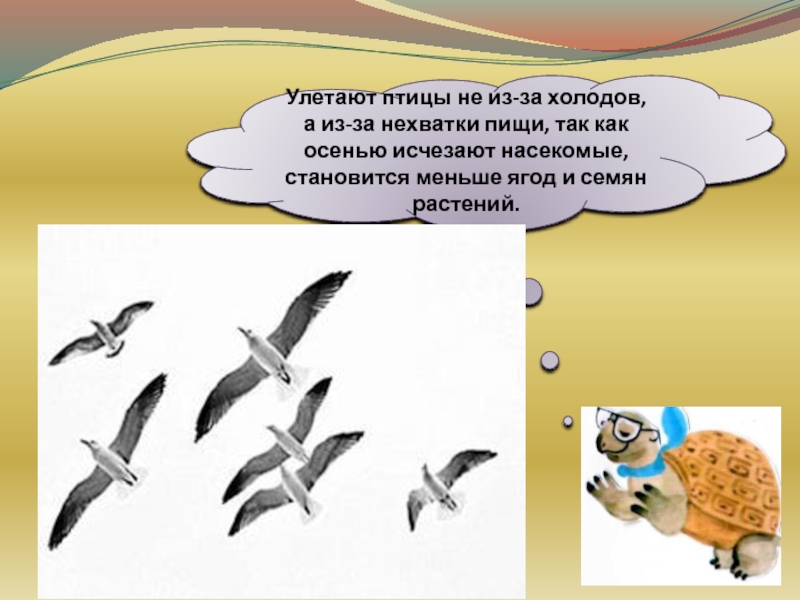 Технологическая карта урока по окружающему миру 1 класс где зимуют птицы