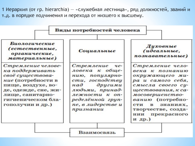 Порядок подчинения 8 букв. Порядок подчиненности низших категорий высшим микроорганизмов.