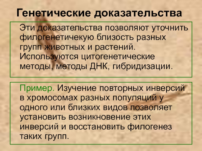 Доказательство группы. Генетические доказательства эволюции. Генетические доказательства эволюции примеры. Доказательства эволюции генетические доказательства. Цитогенетические доказательства эволюции примеры.