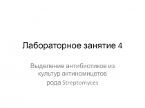 Выделение антибиотиков из культур актиномицетов рода Streptomyces