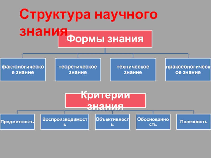 Структура познания. Структура научного знания и его критерии. Структура научного познания в философии. Формы структурирования научного знания. Состав научного знания.