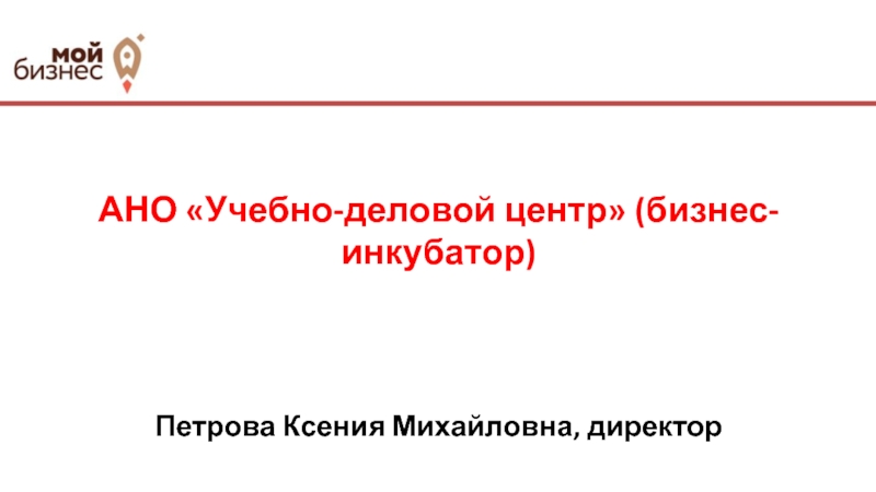 Презентация АНО Учебно-деловой центр (бизнес-инкубатор) Петрова Ксения Михайловна,