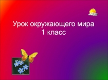 Презентация к уроку Окружающего мира 