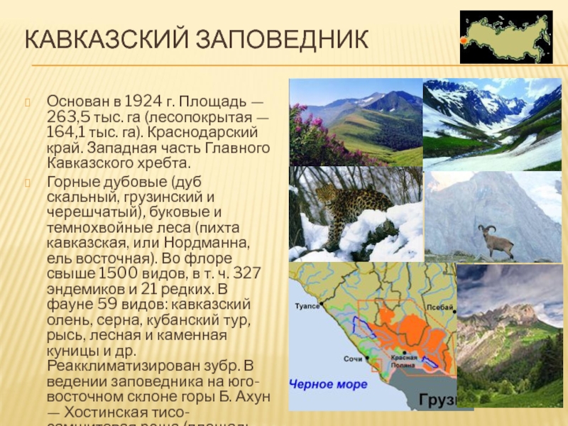 Презентация на тему заповедники россии 8 класс география