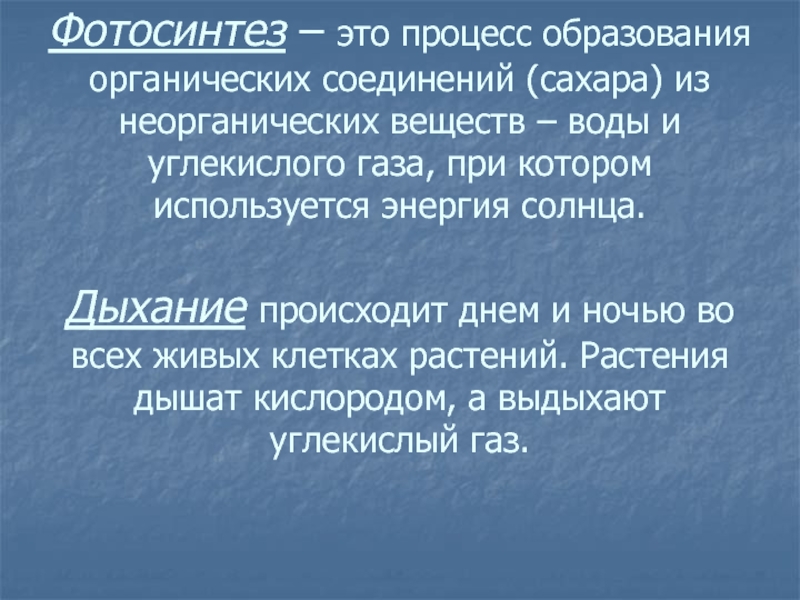 Осуществляет образование органических веществ из неорганических