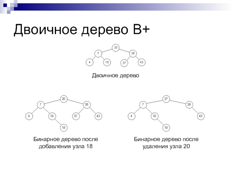 Двоичное дерево