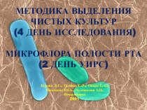 Микрофлора полости рта