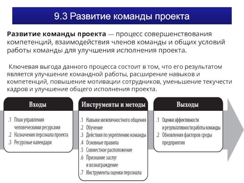 Формирование команды проекта курсовая