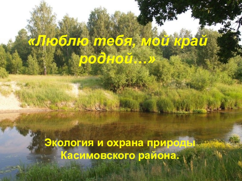 Люблю тебя, мой край родной (Экология и охрана природы Касимовоского района)  8 класс