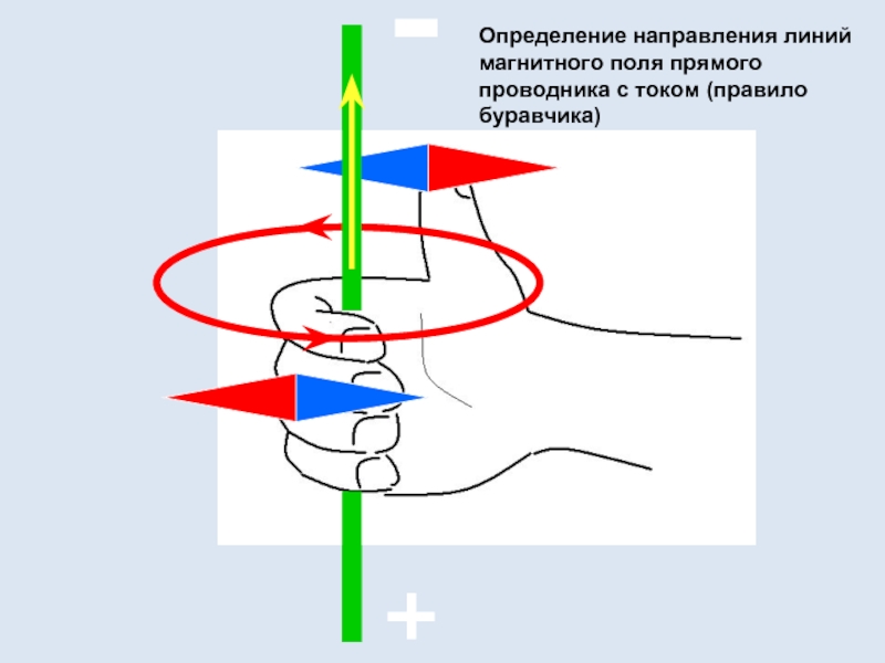 +-Определение направления линий магнитного поля прямого проводника с током (правило буравчика)