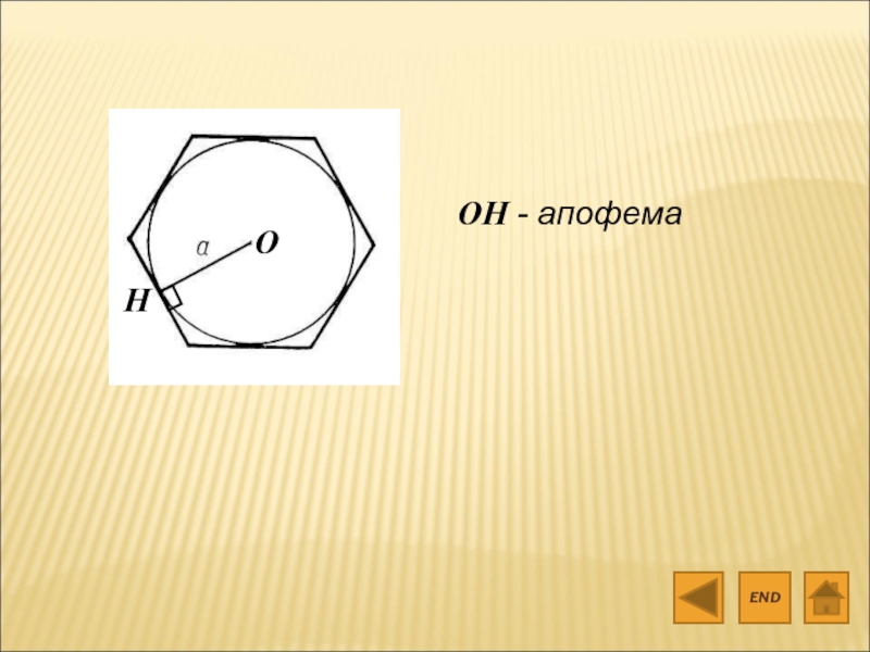 Ооо апофема проект