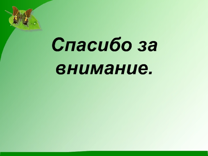 Презентация на тему разнообразие растений